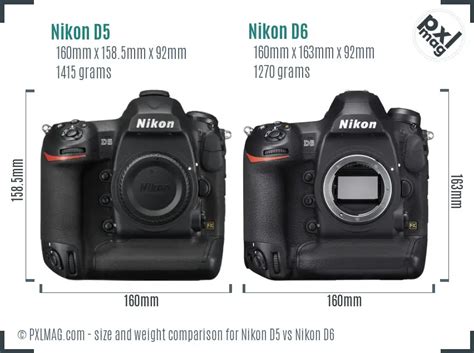 Nikon D5 vs Nikon D6 Detailed Comparison - PXLMAG.com