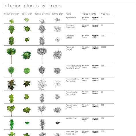 Indoor Plant Cad Symbols Dwg Files of Interior Plants With - Etsy UK