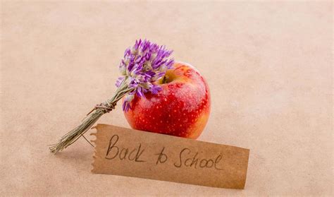 School Name Tag Stock Photos, Images and Backgrounds for Free Download