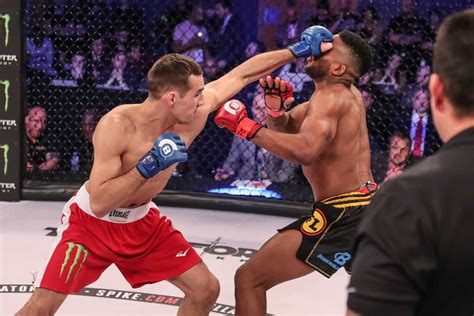 WATCH: Michael 'Venom' Page vs. Paul Daley Crowd Brawl