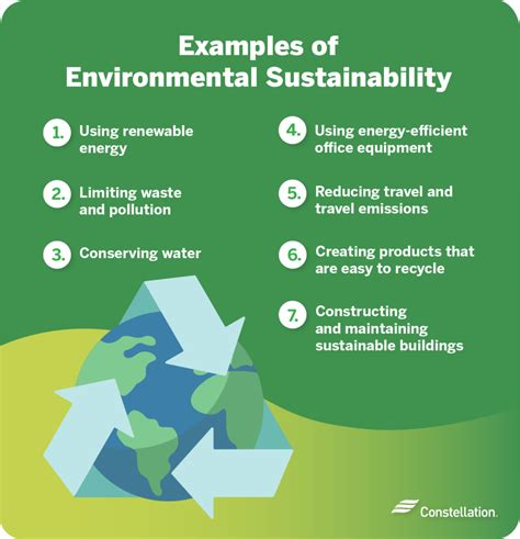 What Is Environmental Sustainability? | Constellation