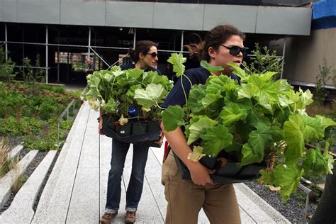 Guerrilla Gardening: Activists Are Changing Cities With This Practice