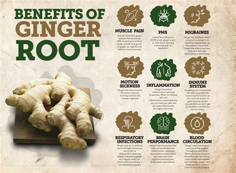 The Benefits Of Ginger Root – organifi