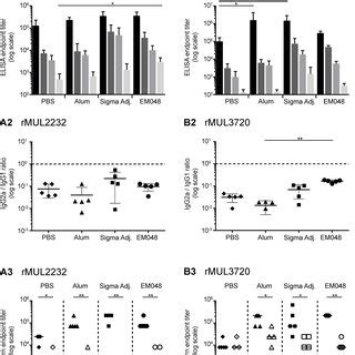 Assessment of Immunoglobulin G subclasses and the longevity of antibody ...