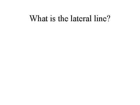 The Fish Lateral Line What is the lateral