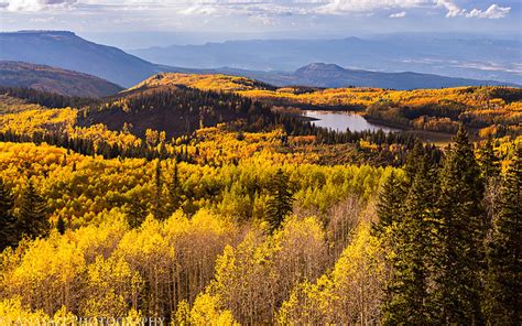 Grand Mesa Fall Colors // ADVENTR.co