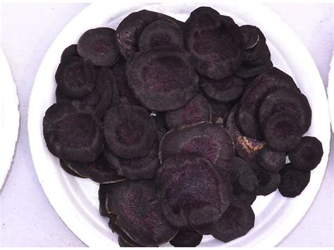 Cool rare black carrot seeds | TheEasyGarden.com