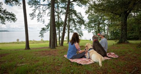 Revitalization in Ridgeland – Welcoming Wellness in the New Year ...