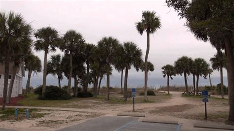 Edisto Beach State Park (2024) | Admission, Times, Photos & Events