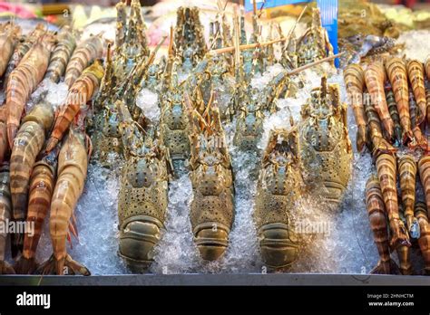 Seafood on display at the famous night market in Hua Hin. Hua Hin is ...