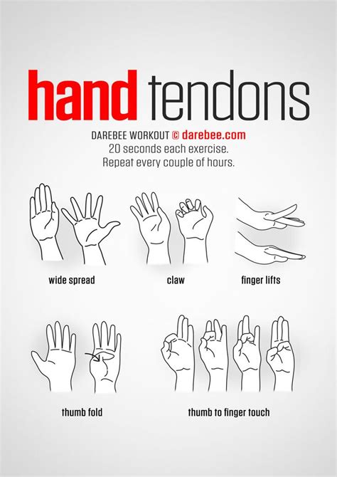 Hand & Wrist in 2020 | Climbing workout, Wrist exercises, Office exercise