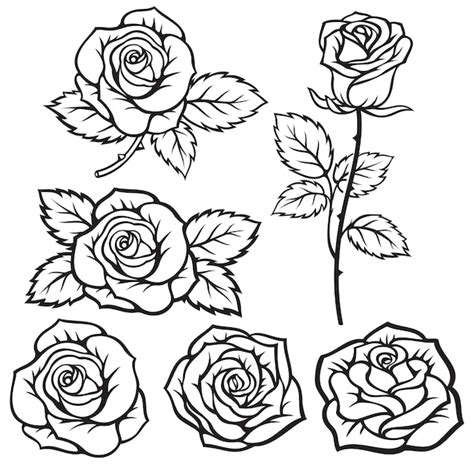 Rose SVG, Rose Flower SVG Bundle Graphic By Dev Teching · Creative ...