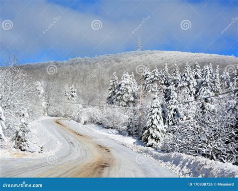 Winter Landscape and Typical Canadian House Stock Photo - Image of christmas, holiday: 170938726