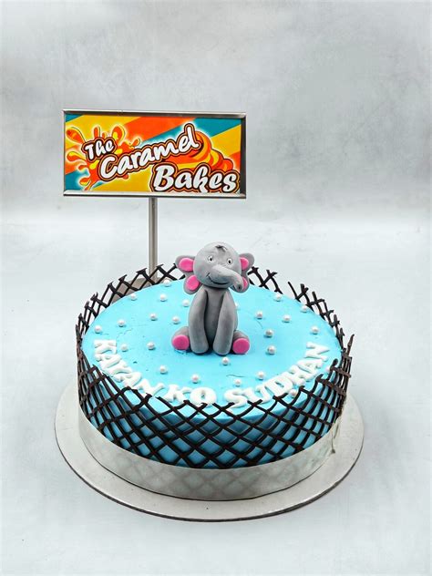 elephant cake