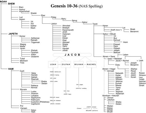 Bible Genealoy From Adam | family tree | # porie's picks | Bible family tree, Genesis bible ...