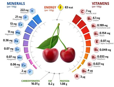 28 Different Types of Cherries