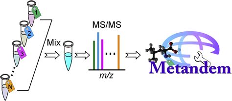 NCQBCS Metandem, a free and online software for MS-based isobaric ...