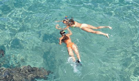 Snorkeling Florida 25+ Locations - Florida Adventure Map