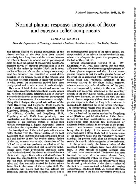 Normal Plantar Response: Integration of Flexor and Extensor Reflex Components - DocsLib