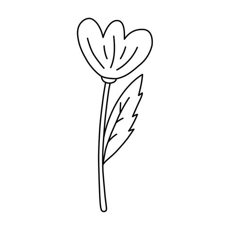 Cute doodle flower line art 21013055 Vector Art at Vecteezy