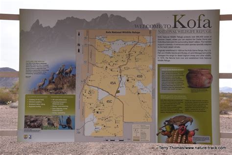 Kofa National Wildlife Refuge