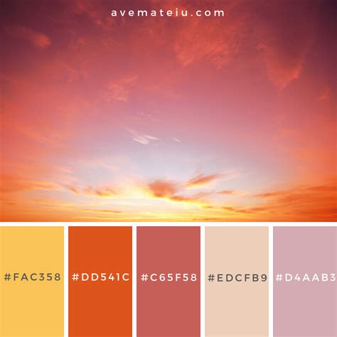 Sunset Colour Palette | peacecommission.kdsg.gov.ng