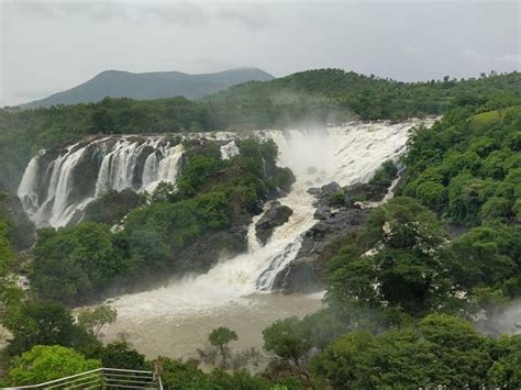 Shivanasamudra Falls (Chamarajanagar) - 2020 What to Know Before You Go (with Photos) - Tripadvisor