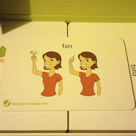 Baby Sign Language Flash Cards