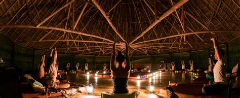 Ayahuasca Retreat - Healing and Self-Discovery Journey