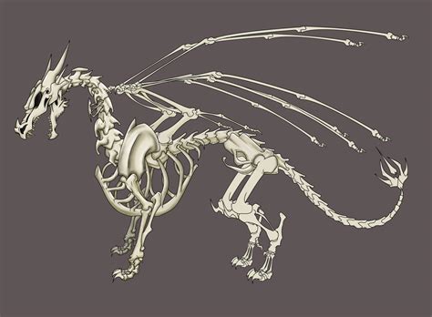 Dragon Skeleton by snosauges on DeviantArt