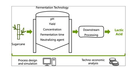 Lactic Acid Fermentation Equation