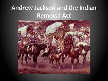 Andrew Jackson and the Indian Removal Act by HGregory History | TpT