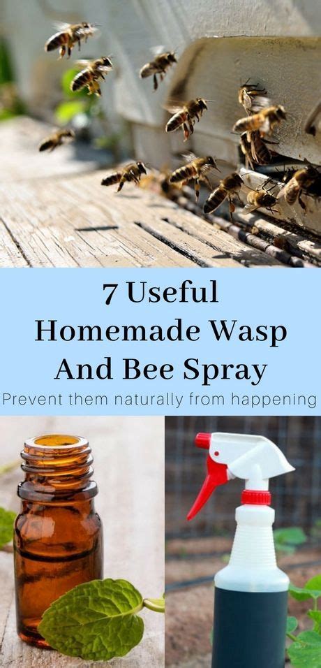 7 Useful Homemade Wasp And Bee Spray - Kill Them Safely | Bee spray, Homemade essential oils ...