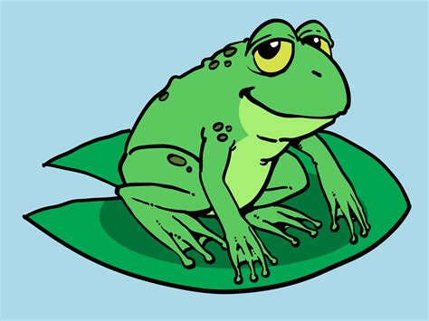 How to Draw a Cartoon Frog: 10 Steps (with Pictures) - wikiHow