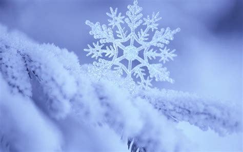 Snowflake Wallpaper Images - WallpaperSafari