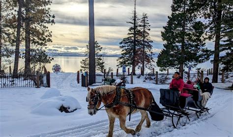 Borges Sleigh and Carriage Rides - Sleigh Rides at Sand Harbor State Park