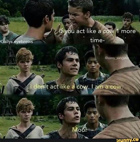 Maze runner memes | Maze runner imagines, Maze runner funny, Maze runner