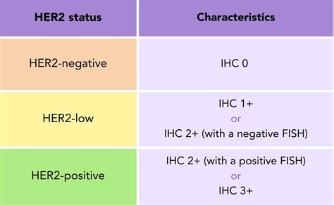 What is HER2-low Breast Cancer? - OWise UK