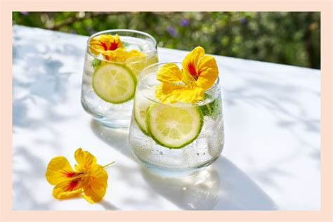 6 Flavored Water Recipes to Try in 2023 - Brightly