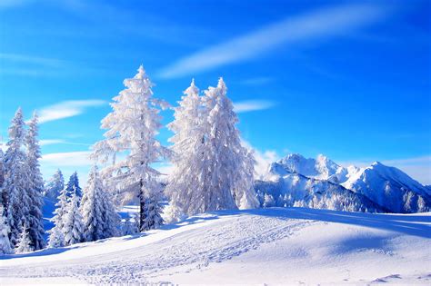 Winter Snow Backgrounds | PixelsTalk.Net