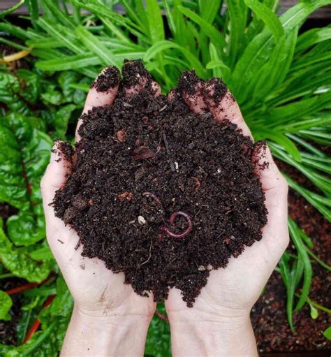 Composting 101: What, Why & How to Compost at Home ~ Homestead and Chill