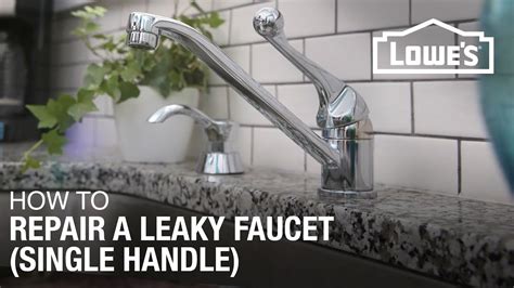 Single Handle Kitchen Faucet Leaking | Dandk Organizer