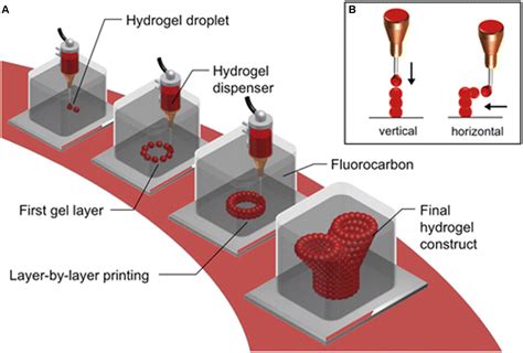 South African researchers identify solutions for challenges in using bioinks to 3D print tissue ...