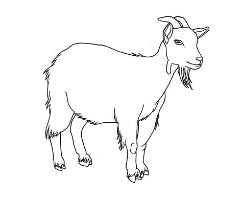 Mountain Goat Drawing at GetDrawings | Free download