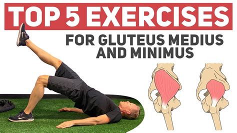 Gluteal Muscles Exercises