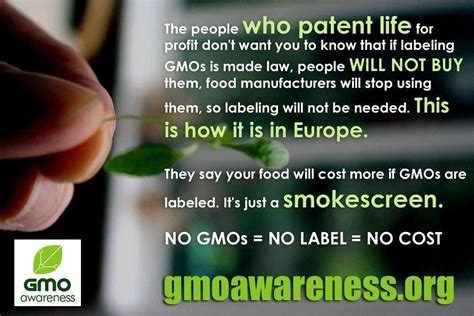 Monsanto and GMOs Exposed | Monsanto, Gmos, Health and fitness tips