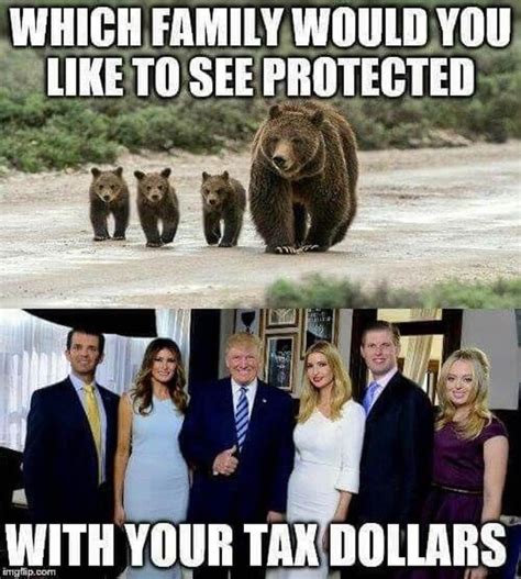 Da 🐻 Bears! : r/PoliticalHumor