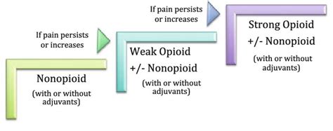 The World Health Organization (WHO) three-step analgesic ladder for ...