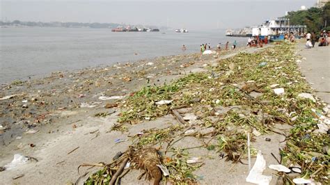 Delhi Responsible For Polluting Yamuna River, Asserts Haryana ...