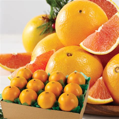 Navel Oranges & Scarlet Red Navel Oranges – TerMarsch Groves